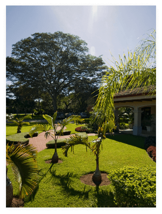 galeria-paisajismo1